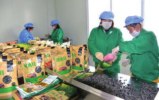 白山 創(chuàng)新創(chuàng)業(yè)風(fēng)鵬正舉，食品互聯(lián)網(wǎng)銷售譜寫新篇章